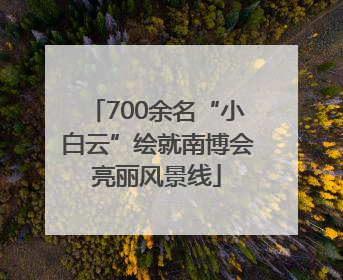 700余名“小白云”绘就南博会亮丽风景线