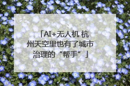 AI+无人机 杭州天空里也有了城市治理的“帮手”